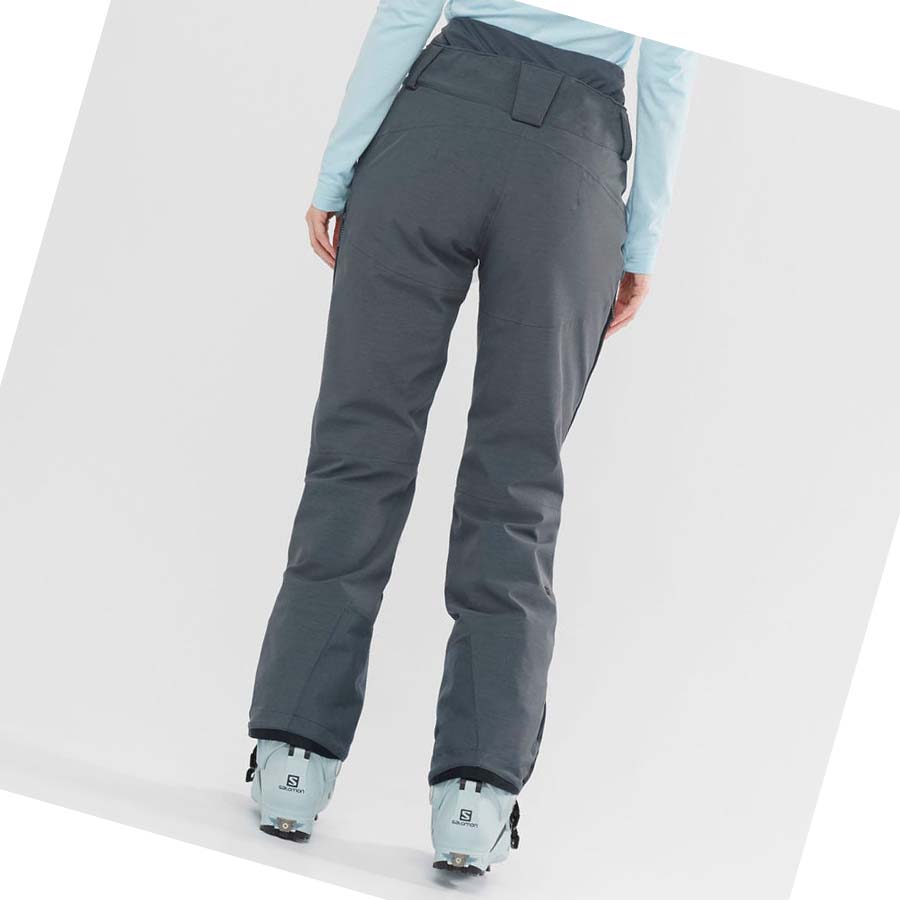 Pantalones De Esquí Salomon PROOF LIGHT Mujer Grises | MX 2335SGL